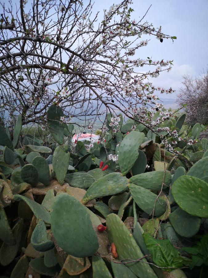 Casa Opuntia Βίλα Pappaygiannades Εξωτερικό φωτογραφία