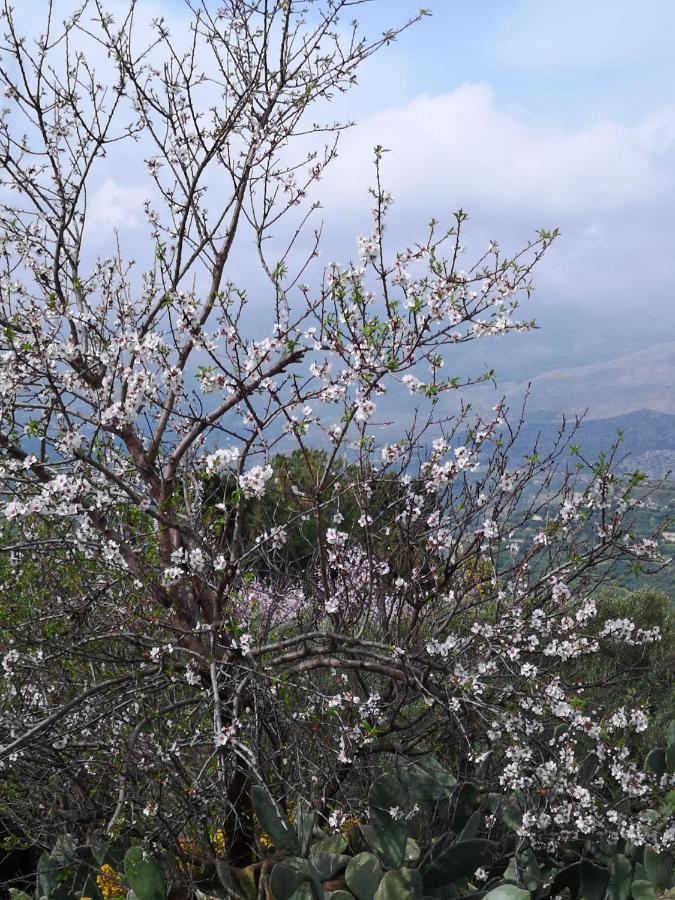 Casa Opuntia Βίλα Pappaygiannades Εξωτερικό φωτογραφία